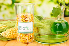 Penygarnedd biofuel availability
